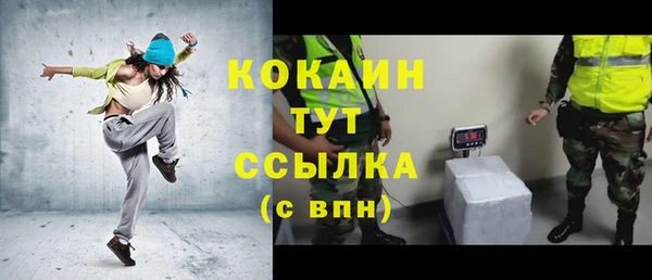 индика Лиски