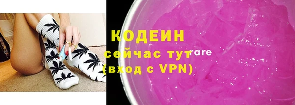 индика Лиски