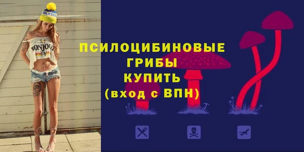 индика Лиски
