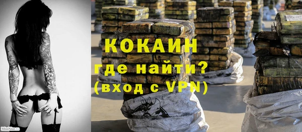 индика Лиски