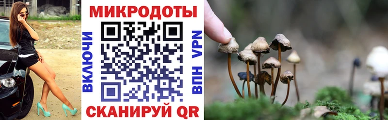 площадка как зайти  Электросталь  Псилоцибиновые грибы Psilocybine cubensis  купить закладку 
